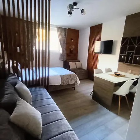 Omorika Apartamento Brzeće