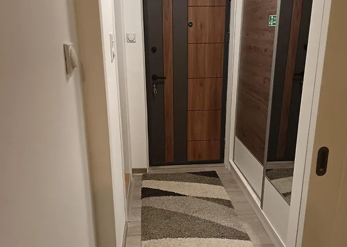Omorika Apartamento Brzeće
